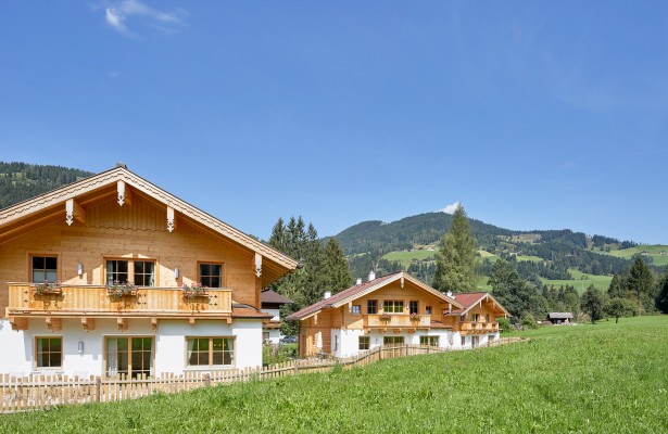Chalets in gr&uuml;ner Natur