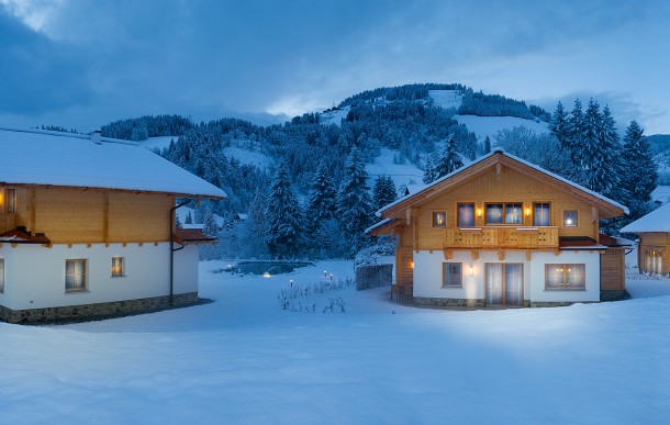 Romantisch beleuchtet sind unsere Rosen im Lehenriedl